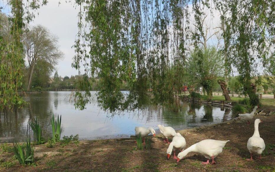 Le Clos Des Marais De Fontenay Εξωτερικό φωτογραφία